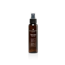 Антисептичний засіб для рук Philip Martin's Hygien It Spray 250 мл